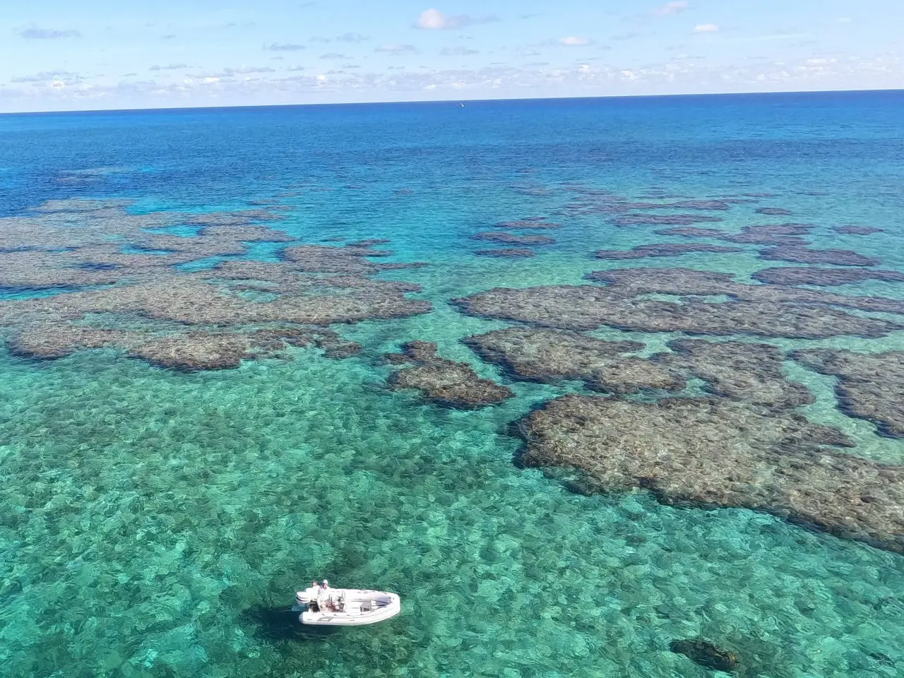 Coral Sea Lihou Reef